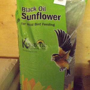 Black Oil Bird Seed