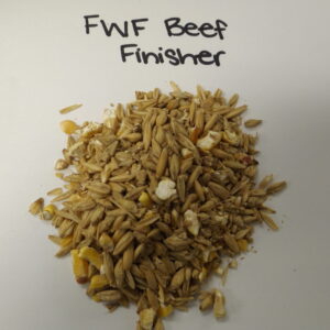 Beef Finisher Ration