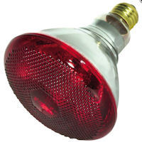 Heat Lamp Bulbs