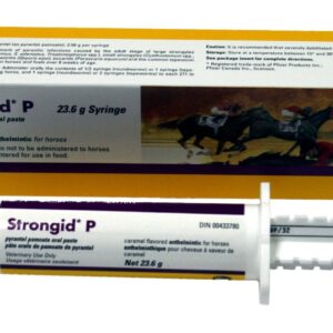 Zoetis Strongid P Paste